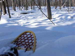 Snowshoeing an old growth forest at Hartwick Pines State Park near Grayling