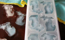 An Ice Gift: Michigan Ice Molds