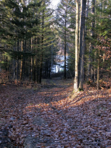 Working up an appetite on a Pond View trail hike