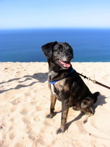 Tucker at Sleeping Bear Dunes