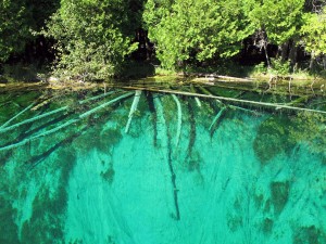 Kitch-iti-kipi, The Big Spring, near Manistique in the U.P.