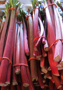 Stalks of rhubarb varieties range from red to green