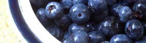 The Joy of Blueberries