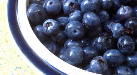 The Joy of Blueberries