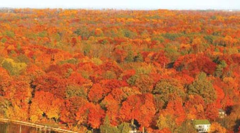 Time to Fall for Pure Michigan