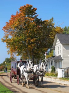 Horse-drawn carriages 
