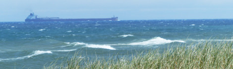 Whale Watching on the Great Lakes