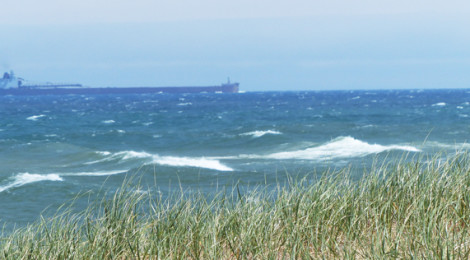 Whale Watching on the Great Lakes