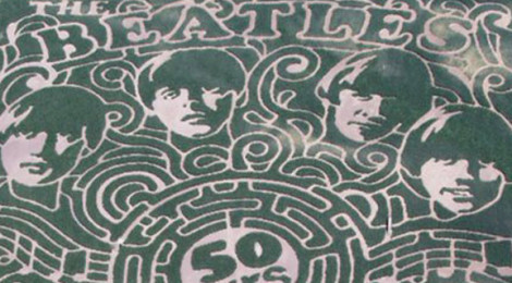 Stalking The Beatles in Corn Maze Season