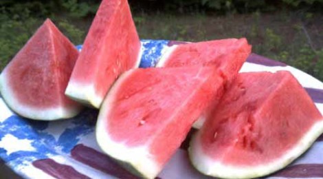On Star Parties and Vodka Watermelon