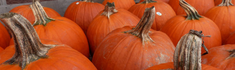 It's a Great Season for...Pumpkins