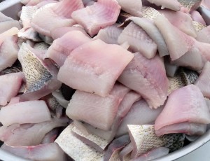 Freshly prepped whitefish minutes away from the deep fryer at the American Legion fish fry in Engadine