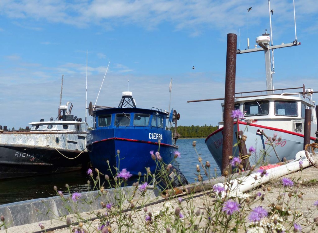 Hard-working fishing tugs in the Naubinway harbor after a day on Lake Michigan