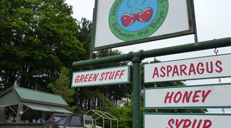 Asparagus: That's the Spear-It!