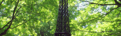 Michigan's Eiffel Tower